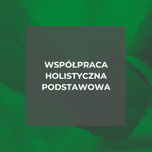 Współpraca holistyczna podstawowa