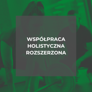 Współpraca holistyczna rozszerzona